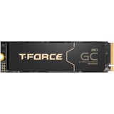Team Group T-Force GC PRO 2 TB, SSD PCIe 5.0 x4 | M.2 2280 | Graphen-Kühlkörper