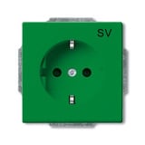 Busch-Jaeger Schutzkontakt Steckdosen Einsatz grün, Retail