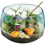 Clementoni Harry Potter - Terrarium, Experimentierkasten 