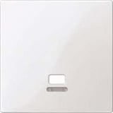 Merten Zentralplatte Zugschalter polarweiß glänzend mit Kontrollfenster MEG3380-0319 weiß (glänzend), Retail