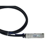 BlueOptics BlueLAN Direct Attach Kabel kompatibel zu Extreme Networks 100G-DACP-QSFP3M QSFP28 schwarz, 3 Meter
