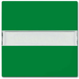 Busch-Jaeger Wippe 2510 NLI-13-914 grün, Retail