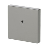 Busch-Jaeger Wippe Edelstahl edelstahl, Retail