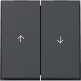 Gira Wippe zweifach mit zwei Pfeilsymbolen anthrazit, Retail