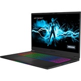 Medion ERAZER Beast X30 (30033748), Gaming-Notebook schwarz, Windows 11 Home 64-BIt, 43.9 cm (17.3 Zoll) & 165 Hz Display, 1 TB SSD