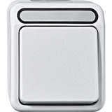 Merten Wechseltaster mit Neutralleiter-Klemme, einpolig, Aufputz, Wippe, 250 Volt, 10 Ampere hellgrau, Retail