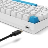 Sharkoon SKILLER SGK50 S2 PBT, Gaming-Tastatur weiß, BE-Layout, Gateron G Pro 3.0 Yellow
