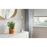 eve Shutter Switch, Schalter weiß
