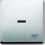 Busch-Jaeger Wippe mit Symbol Licht edelstahl, Retail