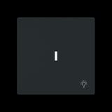 Busch-Jaeger Wippe mit Symbol Licht mit transparenter Kalotte schwarz, Retail