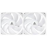 Chieftec ICEBERG 240-RGB-W, Wasserkühlung weiß