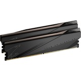 GIGABYTE DIMM 32 GB DDR5-5200 (2x 16 GB) Dual-Kit, Arbeitsspeicher schwarz, GP-ARS32G52D5, AORUS, INTEL XMP