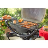 Weber Grillrost Set 7645 fur Q 200 2000 Serie 2 teilig Gusseisen