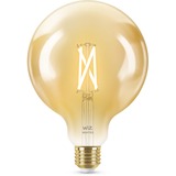 WiZ Whites LED-Lampe Filament Amber G125 E27 ersetzt 50 Watt