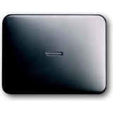 Busch-Jaeger Kontrollwippe für Ausschalter, Wechselschalter, Kreuzschalter und Taster platin, Retail