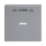 Busch-Jaeger Zentralscheibe für Cardschalter, Abdeckung Retail