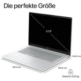 HP OmniBook 3 17-dg0050ngx, Notebook silber, Intel® Core™ Ultra 5 225U, Intel® Graphics, 8 GB DDR5, 256 GB (256 GB SSD), Windows 11 Home