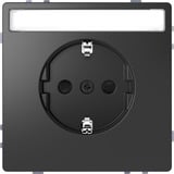 Merten Schutzkontakt-Steckdose mit Schriftfeld anthrazit, Retail
