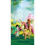 PLAYMOBIL 72067 Ausflug der Feen, Konstruktionsspielzeug 