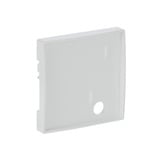 Busch-Jaeger Zentralscheibe studioweiß, Zentralplatte weiß, Retail