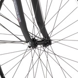 FISCHER Fahrrad CITA 3.2i (2022), Pedelec grün, 41 cm Rahmen, 28"