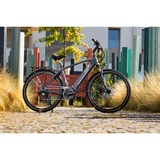 FISCHER Fahrrad Viator 5.0i Herren (2022), Pedelec grau, 50 cm Rahmen, 28"