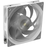 RAIJINTEK Cyclops Lite 360, Wasserkühlung weiß