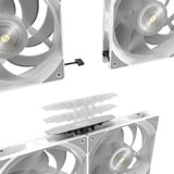 RAIJINTEK Cyclops Lite 360, Wasserkühlung weiß