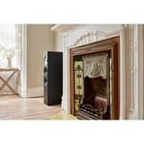 Bowers & Wilkins 603 S2 Anniversary Edition, Lautsprecher schwarz, Einzellautsprecher