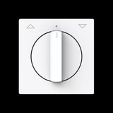 Busch-Jaeger Zentralscheibe mit Pfeil auf/ab, Abdeckung weiß, Retail