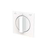 Busch-Jaeger Zentralscheibe mit Pfeil auf/ab, Abdeckung weiß, Retail