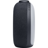 JBL Horizon 2, Radiowecker schwarz, Bluetooth, USB