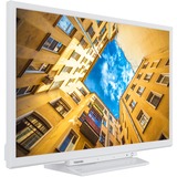 Toshiba 24WK3C64DAY, LED-Fernseher 60 cm(24 Zoll), weiß, WXGA, HDR, Triple Tuner