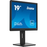 iiyama PROLITE B1980D-B5, LED-Monitor 48 cm (19 Zoll), schwarz, VGA, DVI