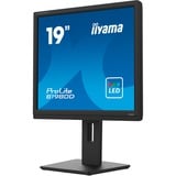 iiyama PROLITE B1980D-B5, LED-Monitor 48 cm (19 Zoll), schwarz, SXGA, TN, VGA, DVI