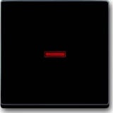 Busch-Jaeger Kontrollwippe einteilige Wippe Aus, Wechselschalter, Kreuzschalter, Taster anthrazit, Retail