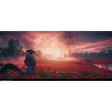  Ghost of Tsushima Director's Cut, PlayStation 5-Spiel 