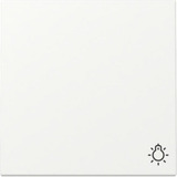 Gira Wippe Symbol Licht weiß, Retail