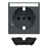 Merten Zentralplatte mit erhöhtem Berührungsschutz für Steckdose mit Kontrolllicht anthrazit, Retail