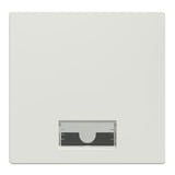 Merten Wippe mit Symbolfenster rechteckig, Kontrollschalter- und Taster-Einsatz, Typ 432819 weiß (glänzend), Retail