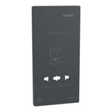 Merten Zentralplatte anthrazit, Retail