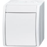 0 Wechselschalter 2601/6 W-54 weiß, Retail