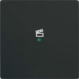 Busch-Jaeger Wippe future linear schwarz, Retail