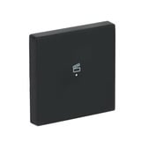 Busch-Jaeger Wippe future linear schwarz, Retail