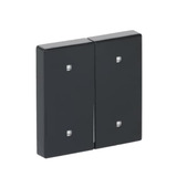 Busch-Jaeger Wippe zwei fach Elektroniktaster anthrazit, Retail