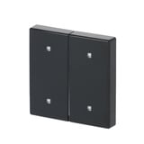 Busch-Jaeger Wippe zwei fach Elektroniktaster anthrazit, Retail