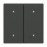 Busch-Jaeger Wippe zwei fach Elektroniktaster anthrazit, Retail