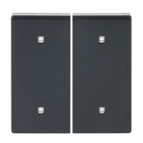 Busch-Jaeger Wippe zwei fach Elektroniktaster anthrazit, Retail