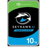 Seagate SkyHawk AI 10 TB, Festplatte SATA 6 Gb/s, 3,5"