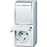 Busch-Jaeger Steckdose zweifach senkrecht mit Beschriftungsfeld 20-02 EWN-54 weiß, Retail